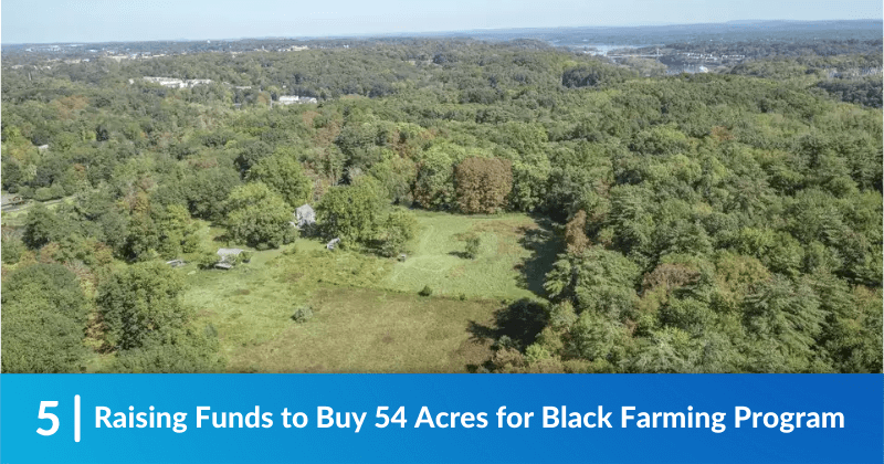 Kingston Land Trust Raising Funds to Buy 54 Acres for Black Farming Program