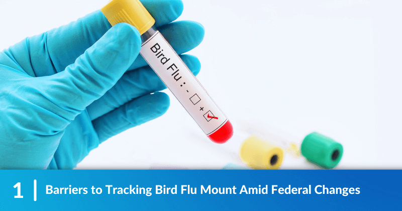 A gloved hand holding a test tube that says "Bird Flu". Heading reads, "Barriers to Tracking Bird Flu Mount Amid Federal Changes".