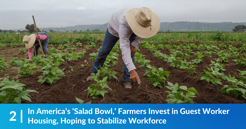 Farmworkers bent over in the fields, the tops of their hats visible. The heading reads, "In America’s ‘Salad Bowl,’ Farmers Invest in Guest Worker Housing, Hoping to Stabilize Workforce".
