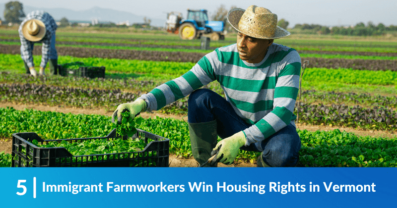 Farmworkers crouched among crops. Heading reads, "Immigrant Farmworkers Win Housing Rights in Vermont"