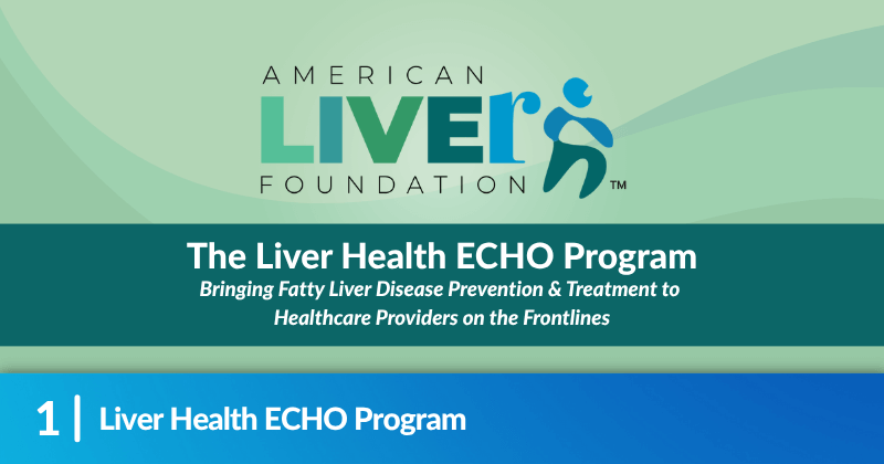 The American Liver Foundation logo. Heading reads, "Liver Health ECHO Program".