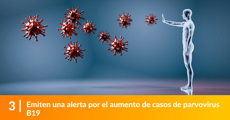 Emiten una alerta por el aumento de casos de parvovirus B19.
