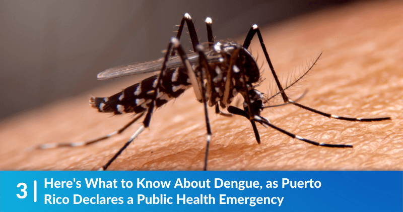 Here's What to Know About Dengue, as Puerto Rico Declares a Public Health Emergency