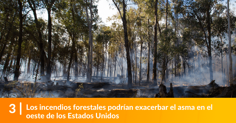 Los incendios forestales podrían exacerbar el asma en el oeste de los Estados Unidos