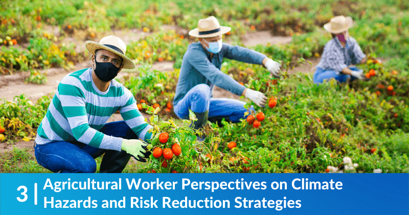 Agricultural Worker Perspectives on Climate Hazards and Risk Reduction Strategies 