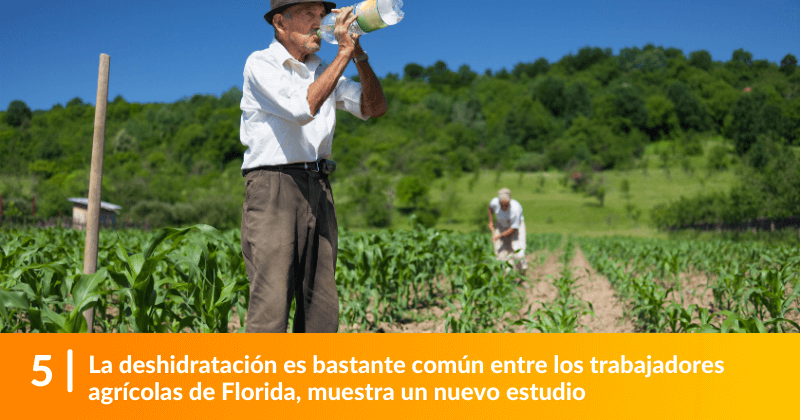 La deshidratación es bastante común entre los trabajadores agrícolas de Florida, muestra un nuevo estudio.