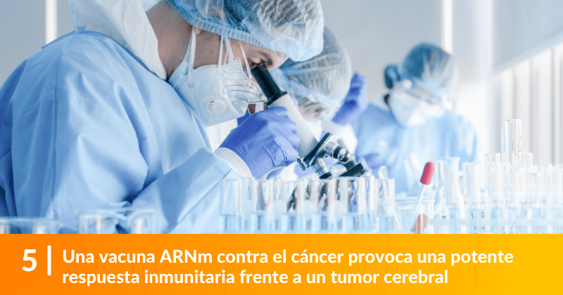 Una vacuna ARNm contra el cáncer provoca una potente respuesta inmunitaria frente a un tumor cerebral.