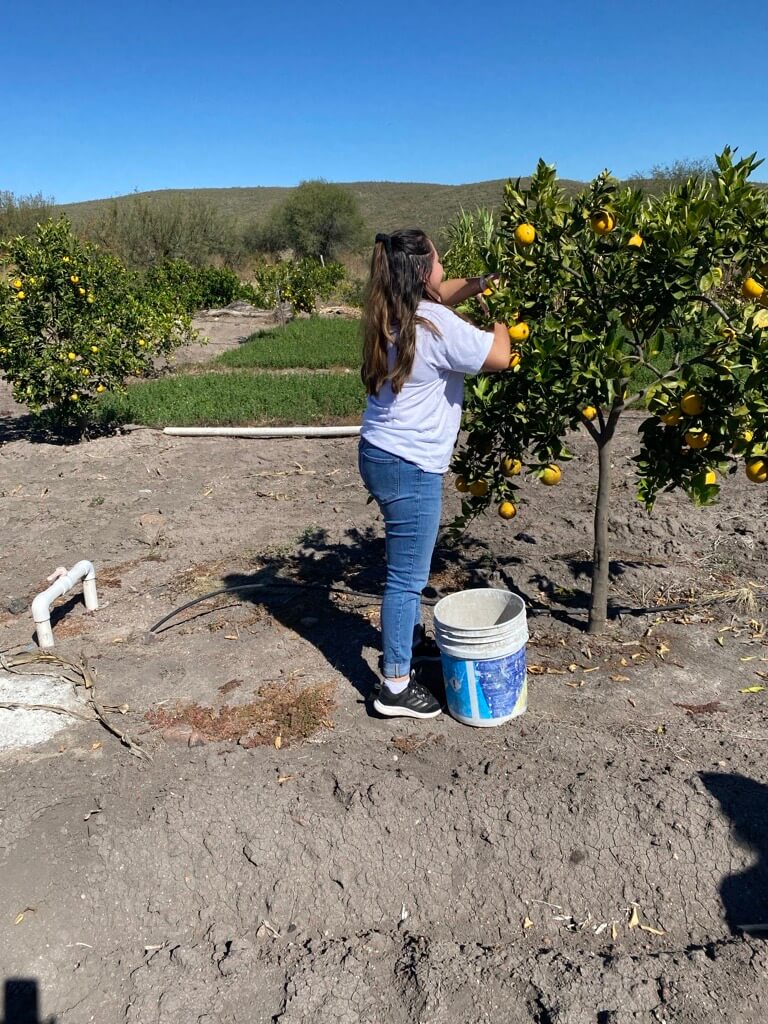 Elizabeth working at her grandparents' farm.