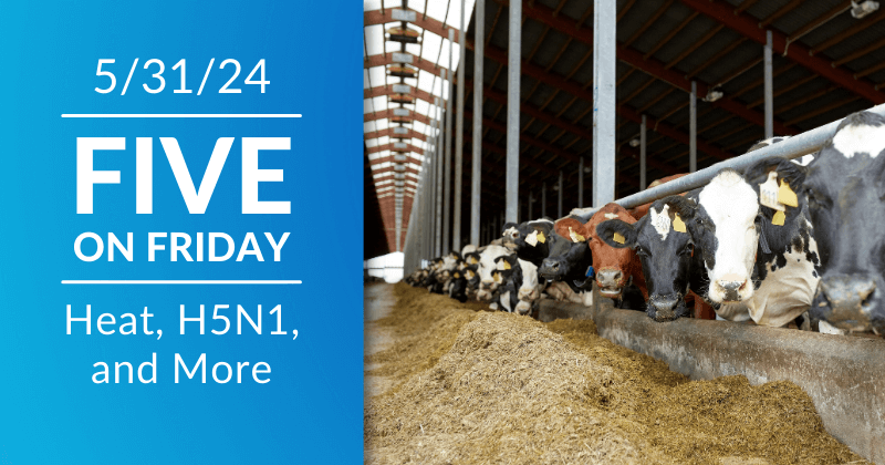 Five on Friday: Heat, H5N1, and More