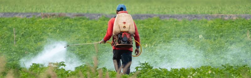 Image of person spraying pesticide