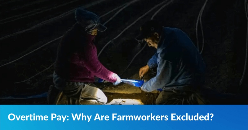 Overtime Pay: Why Are Farmworkers Excluded