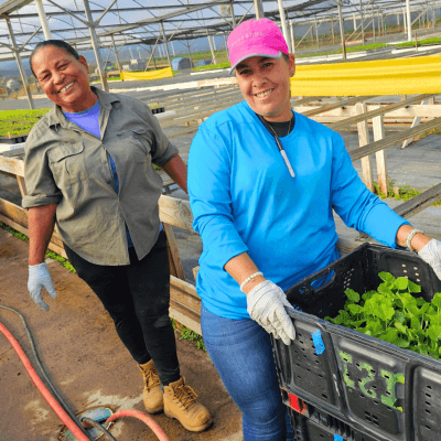 Read the latest articles from MCN