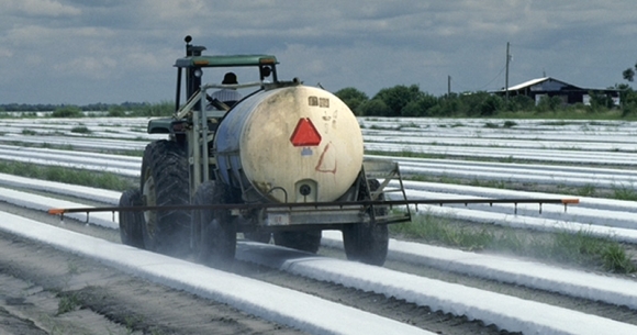 Farmworker sprays pesticide