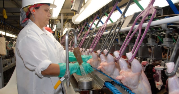 A worker processes poultry