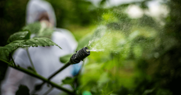 Pesticides and Racism: From Manufacturing, to Delivery, to Application. Here's how to fix it.