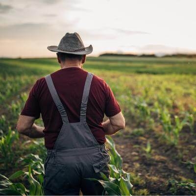 Immigrant Farmers Encounter Stressors, Obstacles, Isolation – A New Spanish-Language Hotline Connects Them to Resources