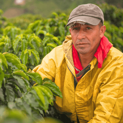 Should Farmworkers with Legal Status Be Able to Get Health Care? Read Our Comments