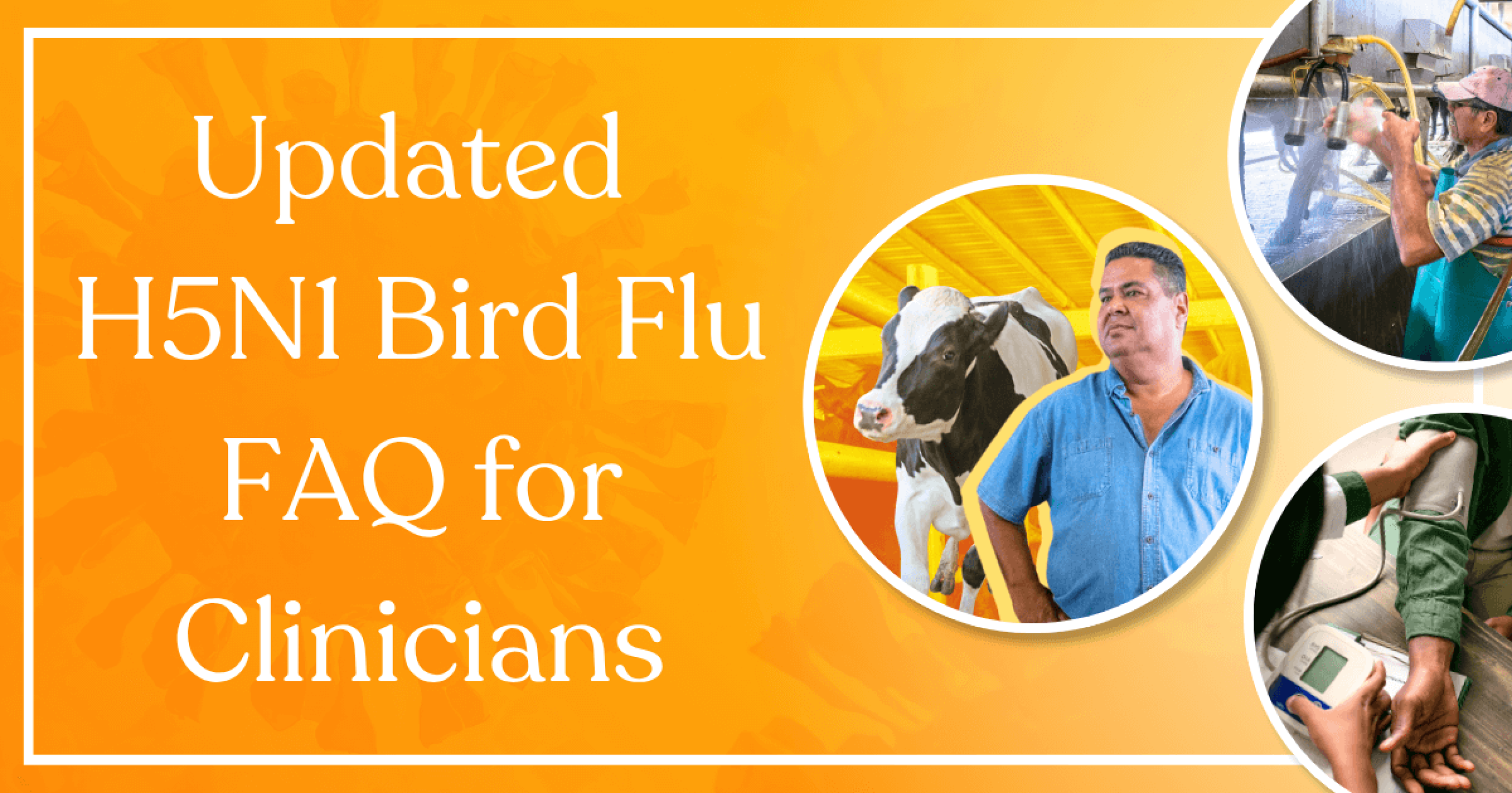 Updated H5N1 Bird Flu FAQ for Clinicians | Migrant Clinicians Network