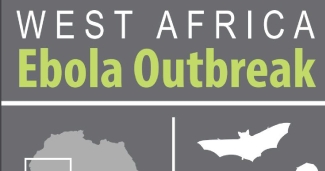 Ebola infographic