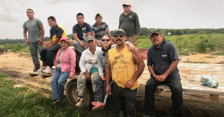 MCN Farmworker Voices