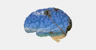 2016 ConÂ­ferÂ­ence for AgriÂ­culÂ­tural Worker Health