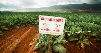 warning sign danger pesticides