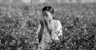 young woman worker in field holding her hands to her face
