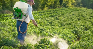 man spraying pesticides on plants