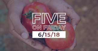 MCN Five on Friday Man holding tomatoes
