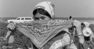 Woman farmworker putting on scarf