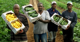 Farmworkers pose with harvest