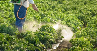 Farmworker sprays pesticide on field