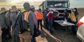 Streamline: The Connections Between COVID and Diabetes