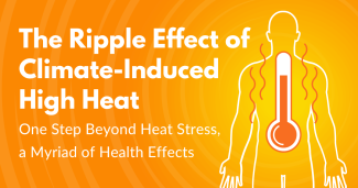 The Ripple Effect of Climate-Induced High Heat: One Step Beyond Heat Stress, a Myriad of Health Effects