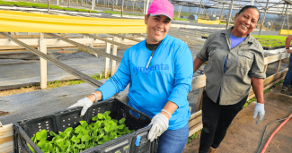 Building Climate Resilience and Health in the Face of Hurricanes in Caribbean Agricultural Communities