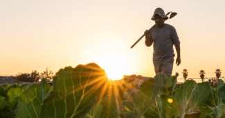 Federal Heat Standard Much Needed, Long Overdue, and Already in Jeopardy: Migrant Clinicians Network Statement