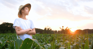 A farmworker in the field looks toward the sun
