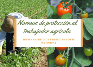 Normas de protección