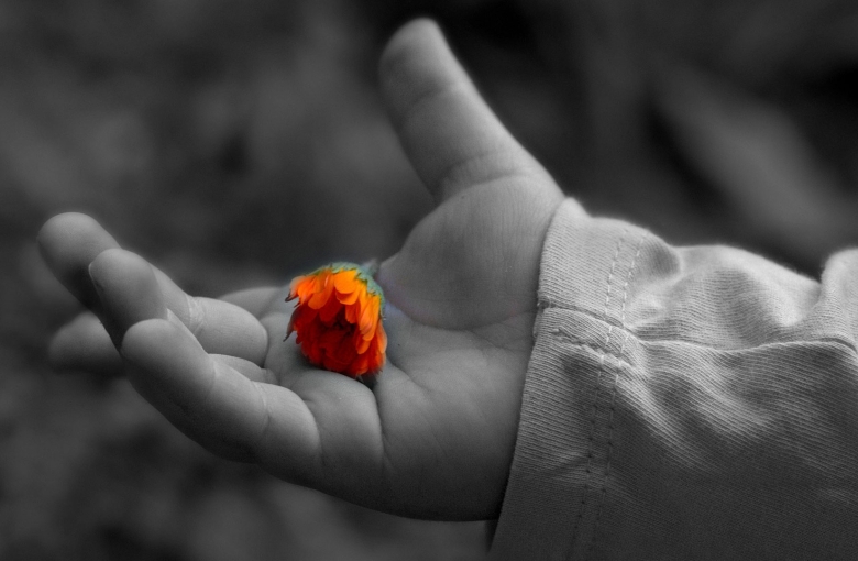 Black and white hand holding a colored flower.