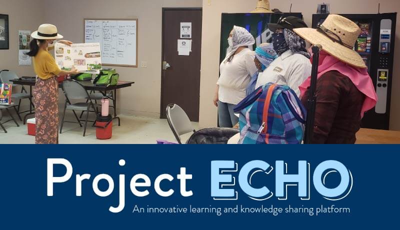 Using the Project ECHO Model to Effectively Provide Diabetes Education and Relevant Resources to CHWs Serving the Underserved Agricultural Worker Population