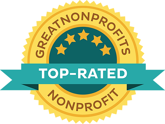 Great Non-Profits, 2017 Top-Rated